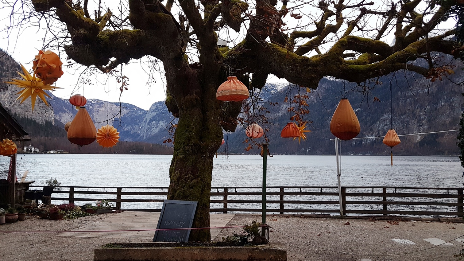Hallstat Tree
