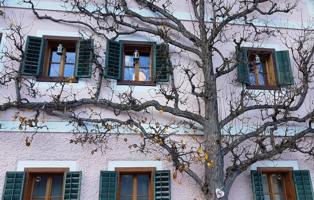 Hallstat Tree House